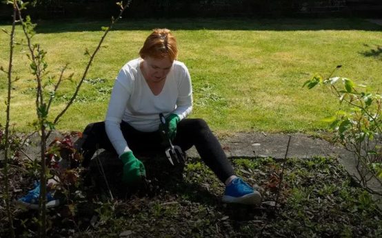 Common Gardening Mistakes Beginners Make: Avoid These Pitfalls