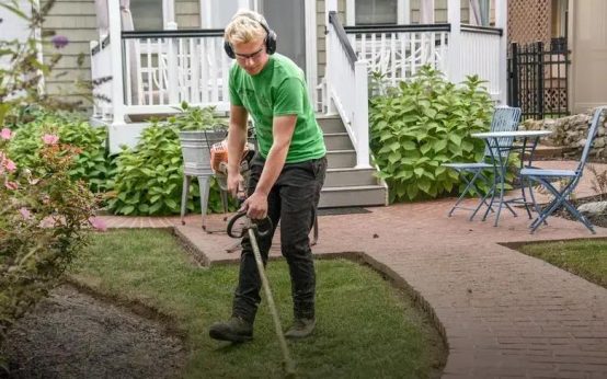 How Often Should You Water Your Plants? Find Out Now