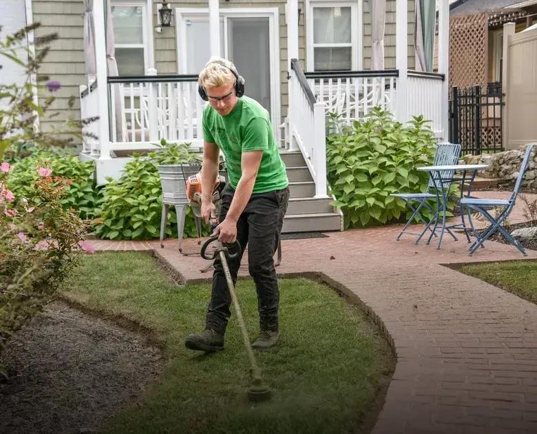 How Often Should You Water Your Plants? Find Out Now